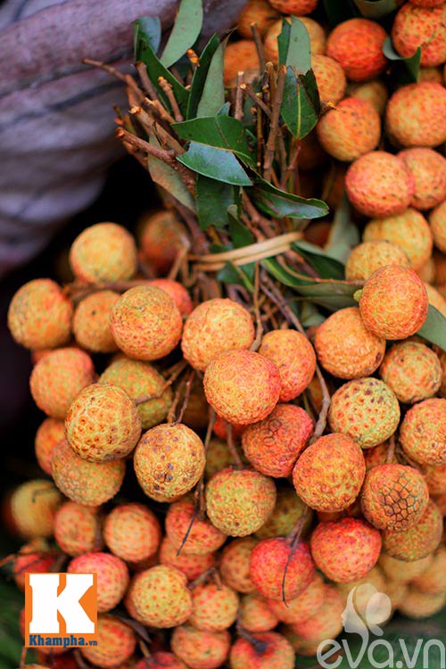 Vải nhộn nhịp quot;xuốngquot; phố - 8
