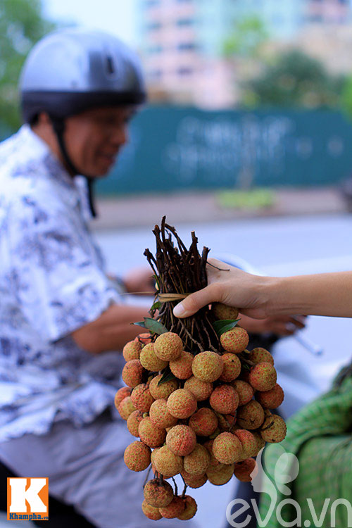 Vải nhộn nhịp quot;xuốngquot; phố - 2