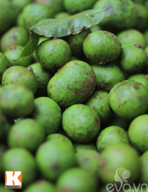 Mùa sấu non đã bắt đầu rồi chị em nhé! - 5