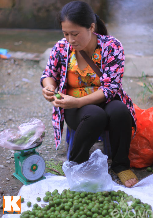 Mùa sấu non đã bắt đầu rồi chị em nhé! - 9