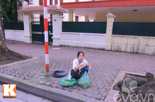 Mùa sấu non đã bắt đầu rồi chị em nhé! - 8