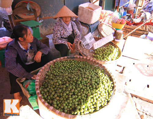 Mùa sấu non đã bắt đầu rồi chị em nhé! - 6