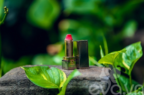 Khám túi hiệu giá 150 triệu đồng Trang Nhung - 13