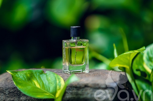 Khám túi hiệu giá 150 triệu đồng Trang Nhung - 14