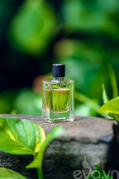 Khám túi hiệu giá 150 triệu đồng Trang Nhung - 15