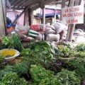 Mua sắm - Giá cả - Cây dại ở quê lên phố thành thuốc trị bệnh