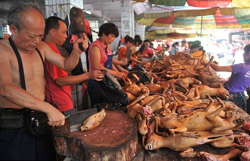 Những hình ảnh thế giới nổi bật tuần qua - 8