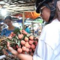 Mua sắm - Giá cả - Vải thiều 20.000 đồng/kg bán chạy tại Sài Gòn