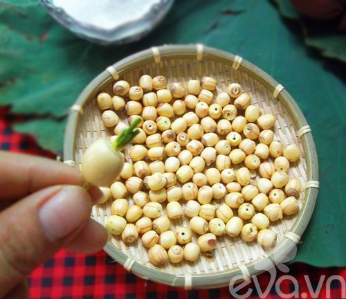 Sữa hạt sen bổ dưỡng an thần - 2