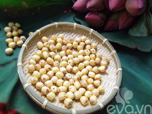 Sữa hạt sen bổ dưỡng an thần - 3