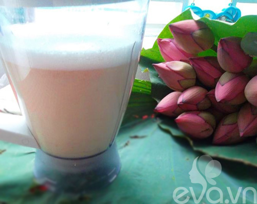 Sữa hạt sen bổ dưỡng an thần - 4