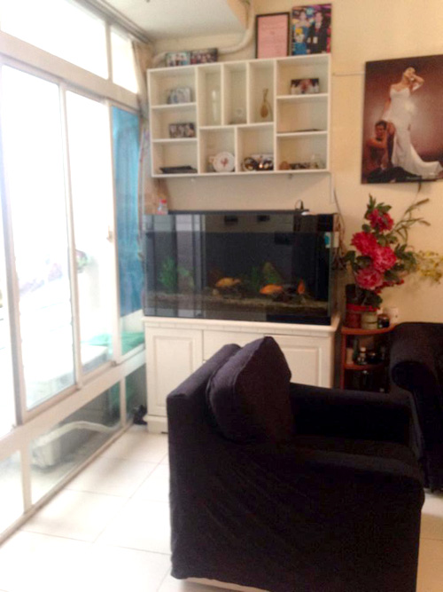 Phi Thanh Vân khoe nhà giản đơn bất ngờ - 4