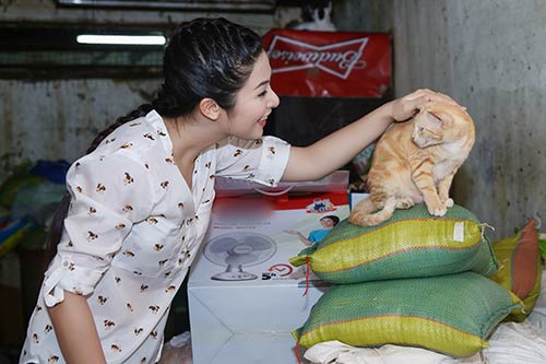 Ngọc Hân xúc động vì cụ bà cưu mang mèo - 1