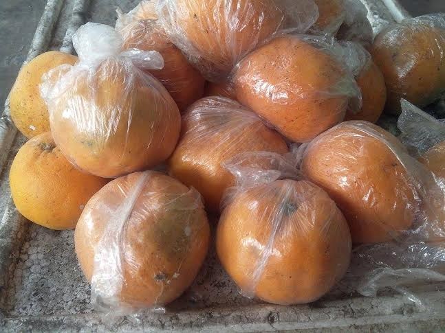 Rùng mình cam để 2 tháng vỏ vẫn tươi nguyên - 1