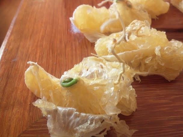 Rùng mình cam để 2 tháng vỏ vẫn tươi nguyên - 2