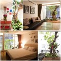 Nhà đẹp - 80m2 nhà ống Sài Gòn đẹp ngọt ngào