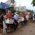 Tin tức - Vải thiều đỏ đường, nông dân đỏ mắt