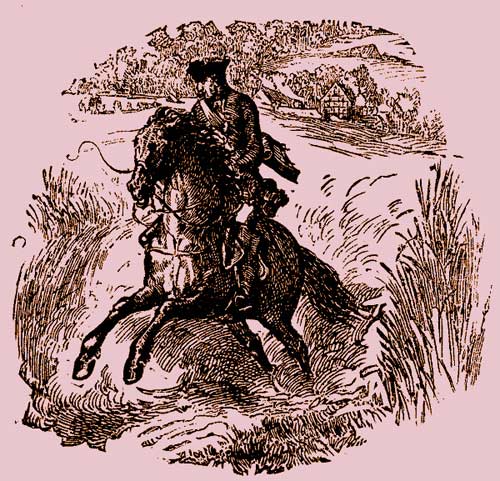 Dương Quý Phi ăn quả vải để làm đẹp - 2