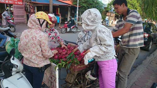 Giá hoa quả Hà Nội gấp 10 lần miền Nam - 3