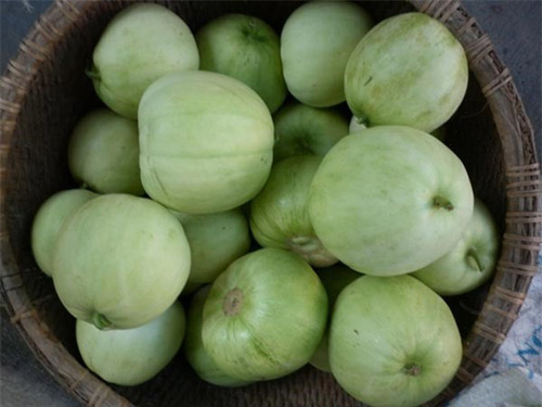 Ăn dưa lê, mẹ trắng hồng, con đủ chất! - 1