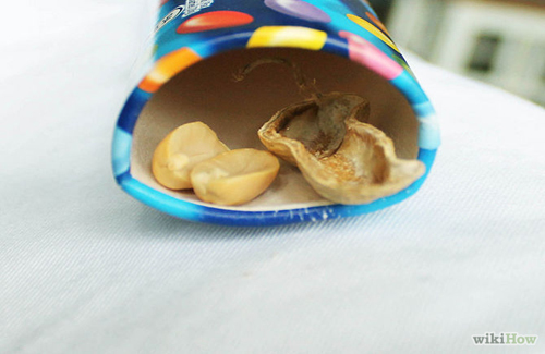 Bốn bước hiệu quả cho nhà chẳng còn chuột gặm nhấm - 9