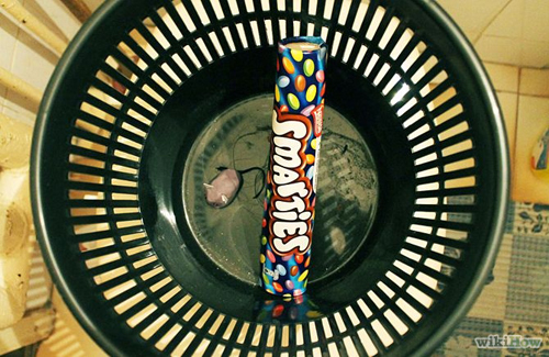 Bốn bước hiệu quả cho nhà chẳng còn chuột gặm nhấm - 11