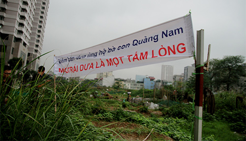 Hà Nội: Chỉ 10 phút, dưa hấu Quảng Nam đã #039;cháy hàng#039; - 6