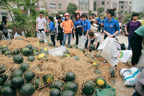 Hà Nội: Chỉ 10 phút, dưa hấu Quảng Nam đã #039;cháy hàng#039; - 1