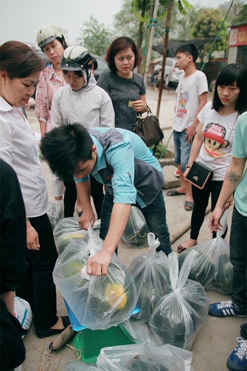 Hà Nội: Chỉ 10 phút, dưa hấu Quảng Nam đã #039;cháy hàng#039; - 10