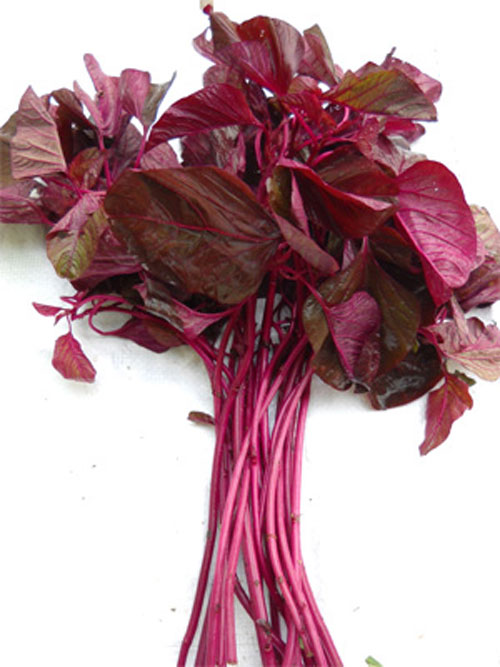 Những #039;thần dược#039; dễ tìm kích thích mọc tóc nhanh dài - 7