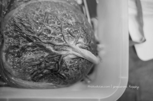 50 lần chụp và những bức ảnh sinh nở quot;để đờiquot; - 5