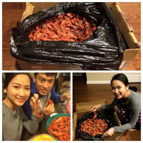 Chồng Diễm Hương cặm cụi treo ảnh cưới - 4