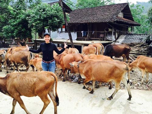 Văn Mai Hương lấy lại cân bằng sau khi bị trầm cảm - 6