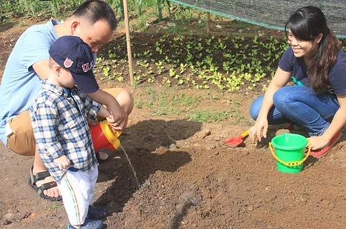 Bỏ 650.000 đồng/tháng, cha mẹ Sài Gòn cho con làm nông dân - 8