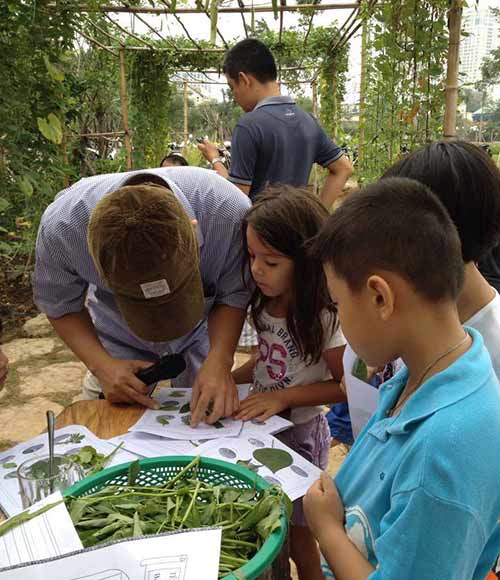 Bỏ 650.000 đồng/tháng, cha mẹ Sài Gòn cho con làm nông dân - 4