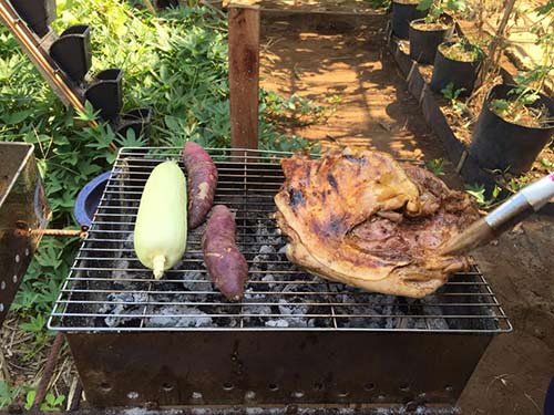 Bỏ 650.000 đồng/tháng, cha mẹ Sài Gòn cho con làm nông dân - 10