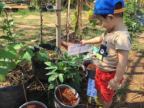 Bỏ 650.000 đồng/tháng, cha mẹ Sài Gòn cho con làm nông dân - 9