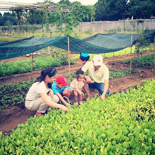 Bỏ 650.000 đồng/tháng, cha mẹ Sài Gòn cho con làm nông dân - 2