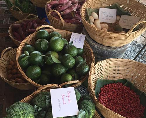 Bỏ 650.000 đồng/tháng, cha mẹ Sài Gòn cho con làm nông dân - 5