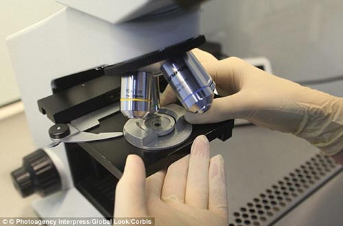 Bé chào đời từ tinh trùng người cha đã chết 2 ngày trước - 2