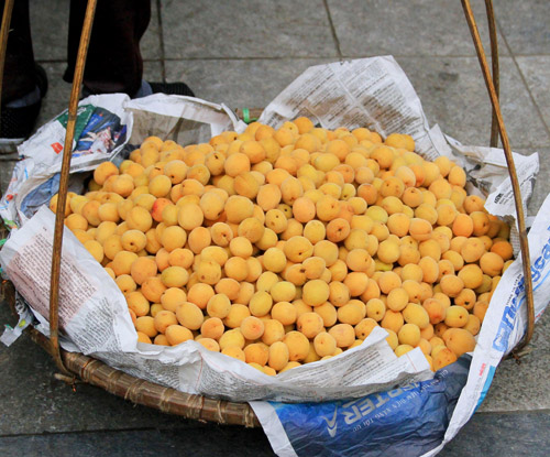 Mùa mơ về vàng ươm khắp phố - 1