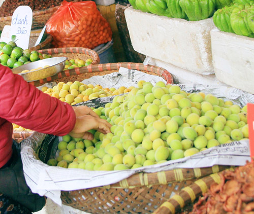 Mùa mơ về vàng ươm khắp phố - 11
