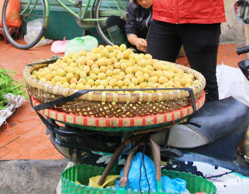Mùa mơ về vàng ươm khắp phố - 2