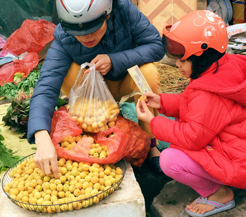 Mùa mơ về vàng ươm khắp phố - 6