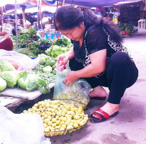 Mùa mơ về vàng ươm khắp phố - 8