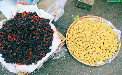 Mùa mơ về vàng ươm khắp phố - 9