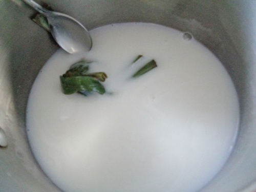 Quá đã với kem dừa tự làm tại nhà - 2