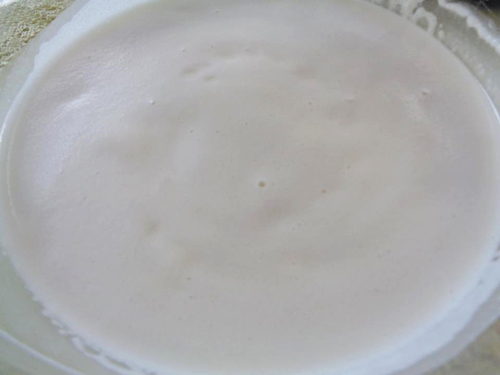 Quá đã với kem dừa tự làm tại nhà - 4