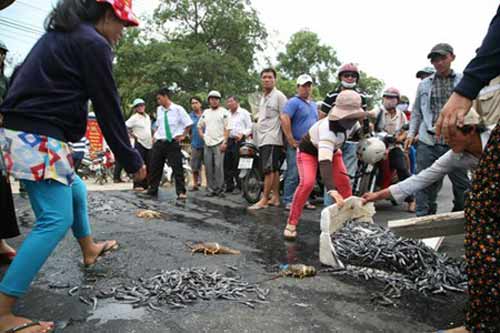 Phản đối ô nhiễm, dân đổ tôm hùm chết ra quốc lộ - 1