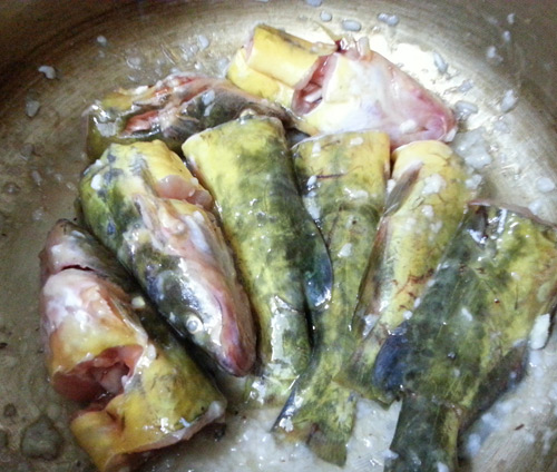 Canh cá bò nấu mẻ dân dã mà ngon - 4